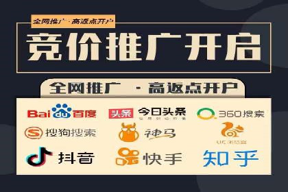 探索SEO在移动端的优化策略——成功案例分享